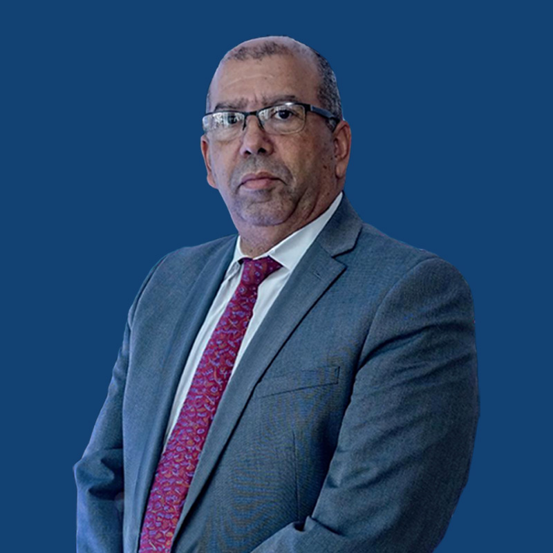 Ing. Pedro Castillo